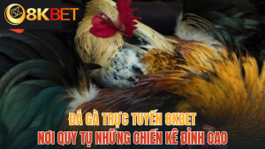 8kbet-da-ga-truc-tuyen-8kbet-moi-nhat